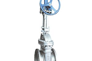 Válvula Gaveta no Rio de Janeiro - RJ